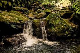 Canyon de la rivière Mitan au Morne-Vert, Martinique – Image 3